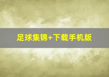 足球集锦 下载手机版